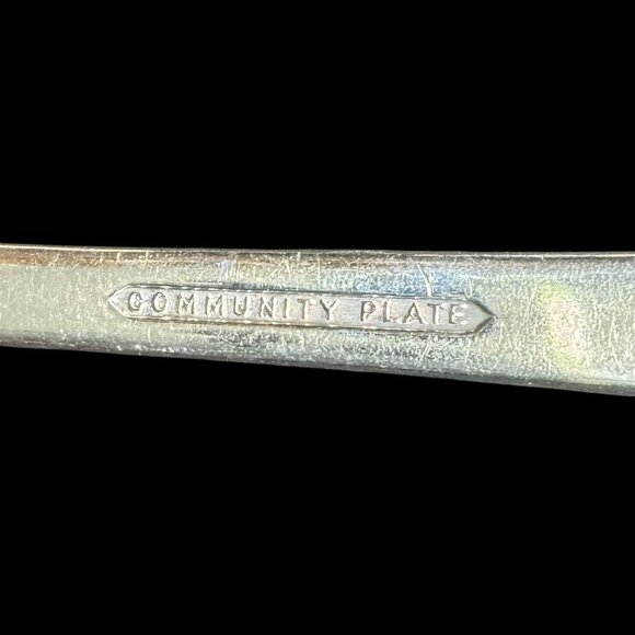 Oneida Silver-plated King Cedric Fruit pattern service for 4 and serving peace's - Picture 12 of 13